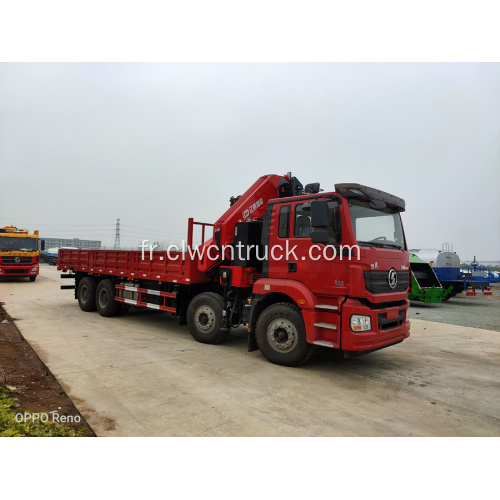 Camion grue pliante de qualité supérieure ShacmanM3000 12T